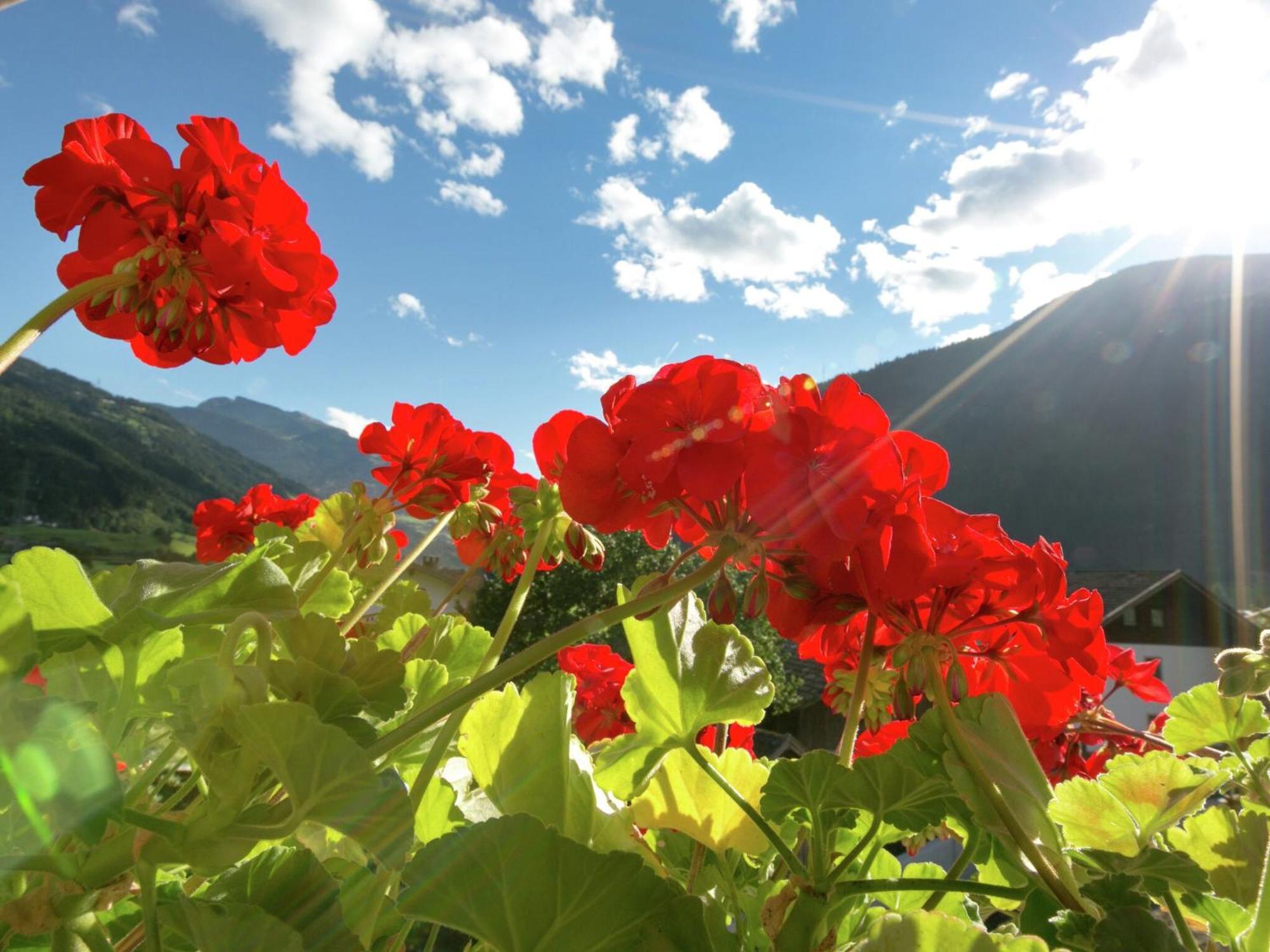Apartment With Terrace In Aschau Im Zillertal Zewnętrze zdjęcie